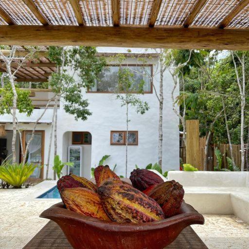 Villa Alba - Trancoso Kültér fotó